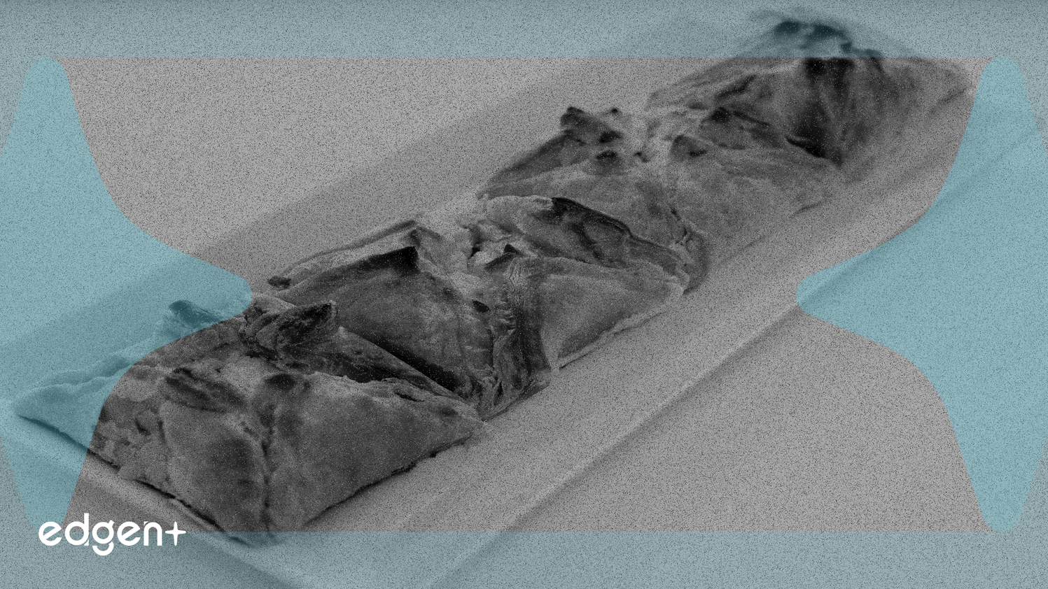 National Health Investors, 74,3 Milyon Dolarlık Satın Almayla Kıdemli Konut Portföyünü Genişletiyor