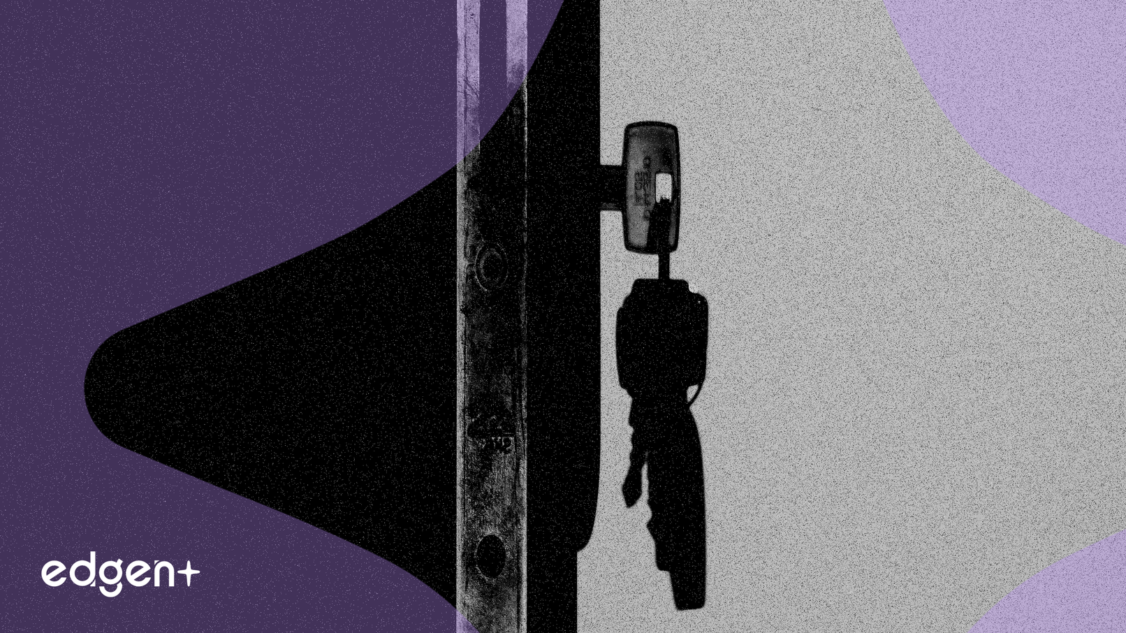 Websea giới thiệu 'Quỹ Yongying' bảo vệ gốc, đặt mục tiêu lợi suất hàng năm 36%-58%