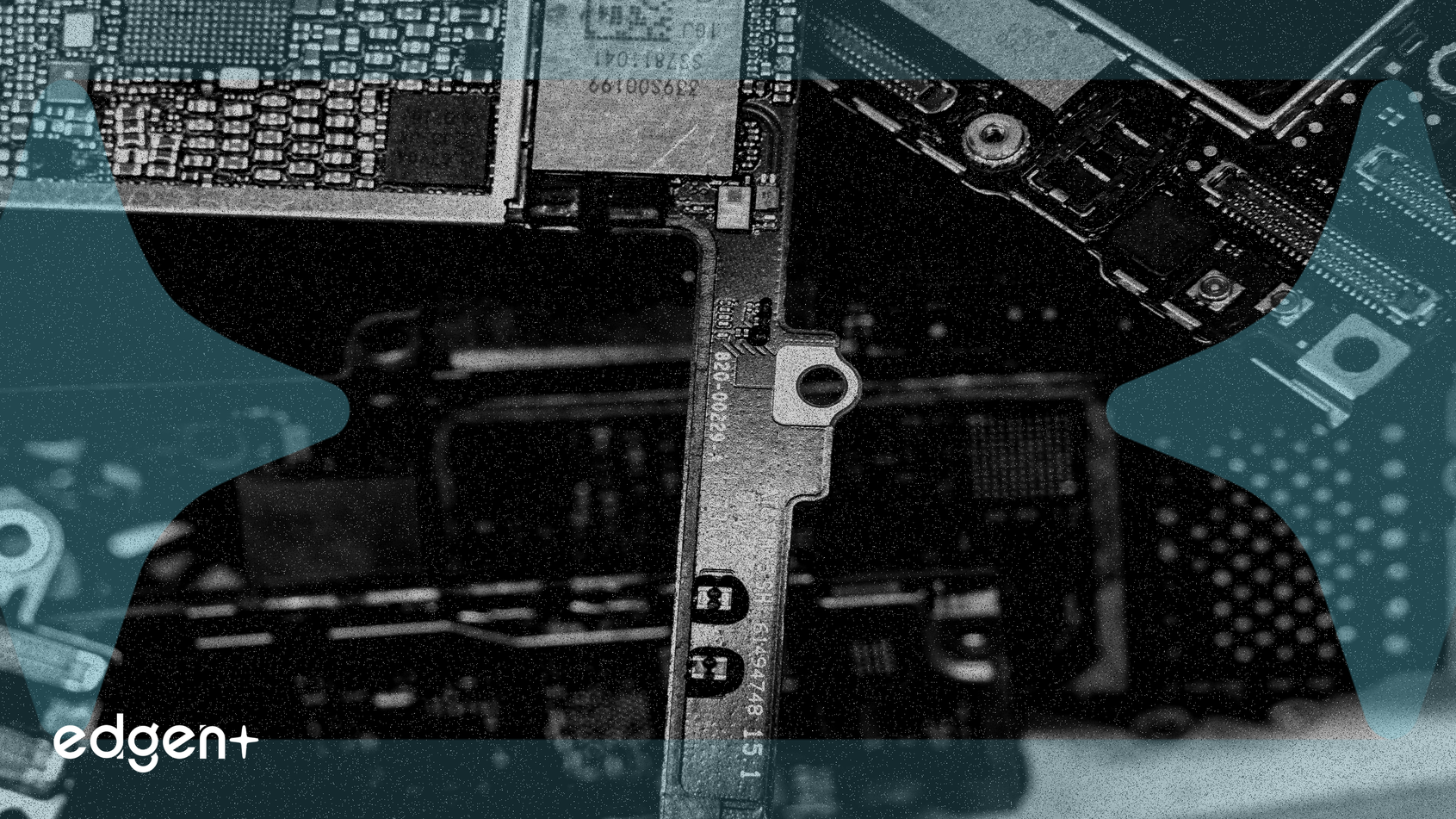 Predictive Oncology thành lập Kho bạc tài sản kỹ thuật số DePIN 344,4 triệu đô la, cổ phiếu tăng hơn 70%