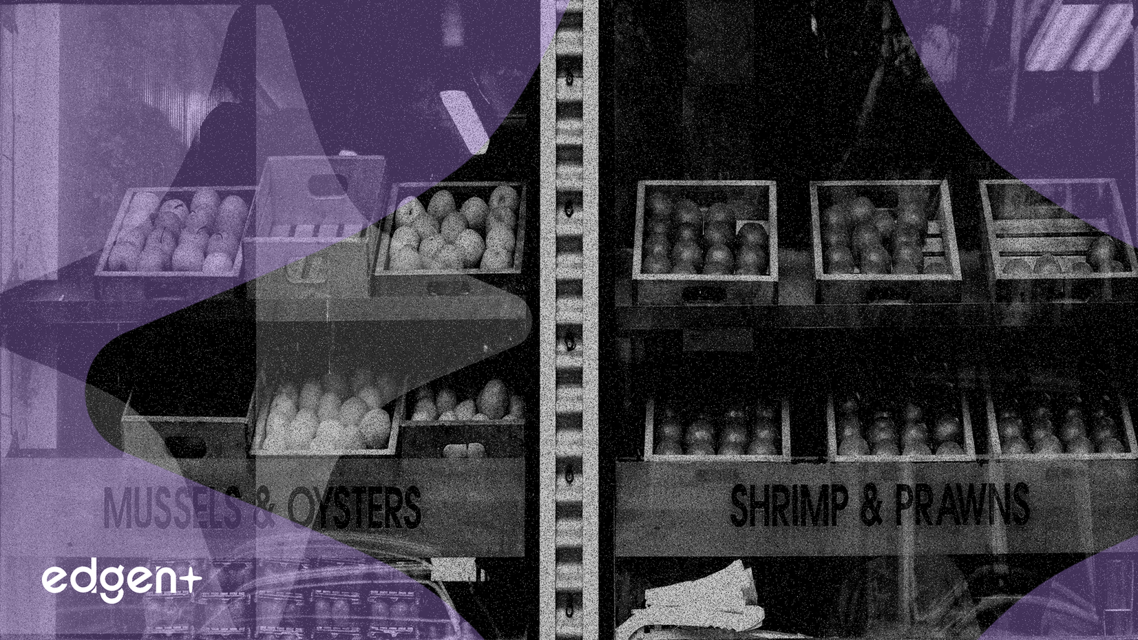 General Mills Profit Falls After Price Cuts