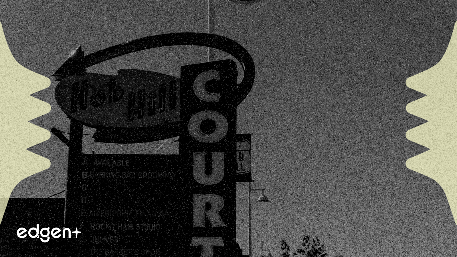 iRobot Enters Bankruptcy, Picea Assumes Control