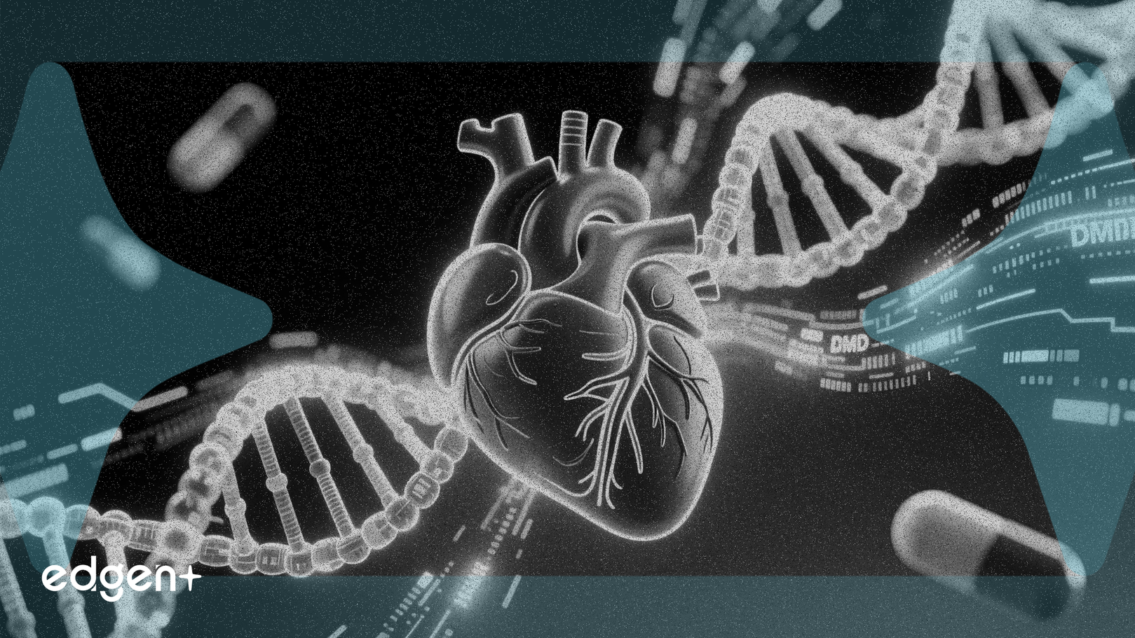 Dyne, DMD 약물에 대한 긍정적인 심폐 데이터 발표 예정
