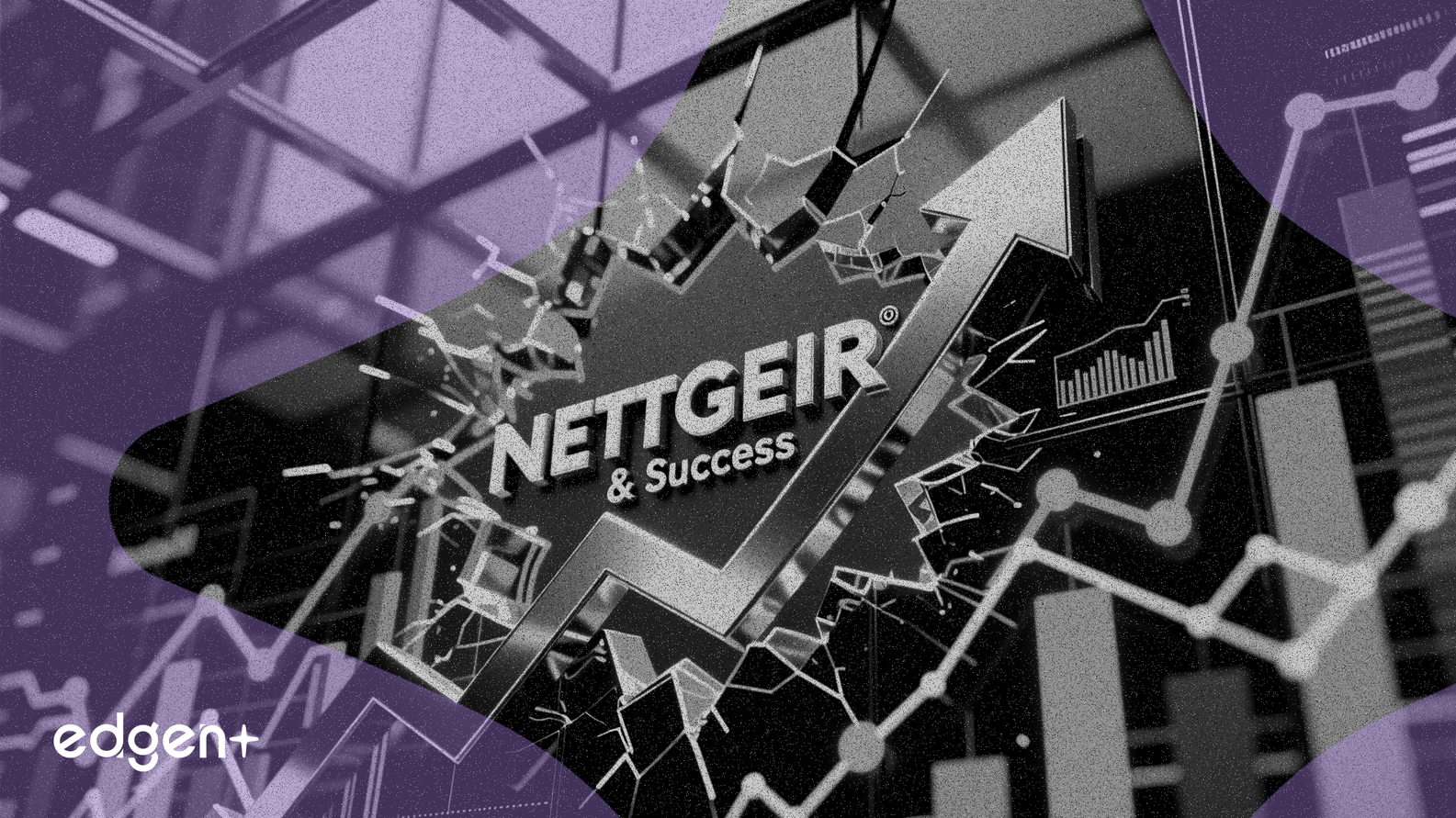 NETGEAR, 기업 부문 성장으로 4분기 실적 예상치 상회