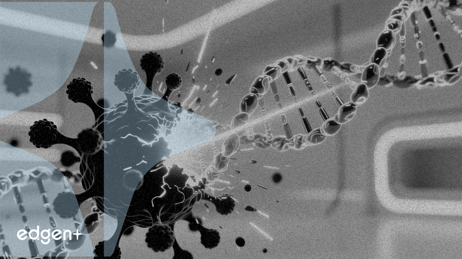 Le médicament anticancéreux d'Akeso affiche 100 % de survie lors de l'essai de phase II