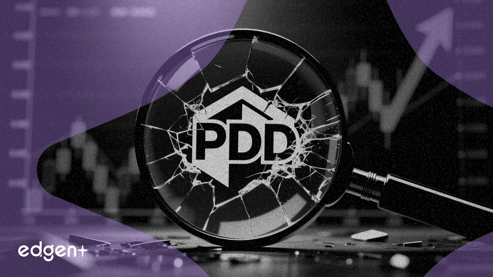 로펌, PDD 홀딩스에 대한 증권 사기 조사 착수