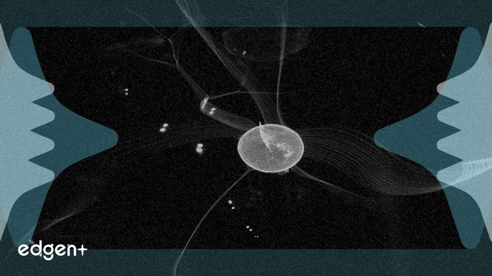 TMTG收購TAE，創建首家上市核聚變公司