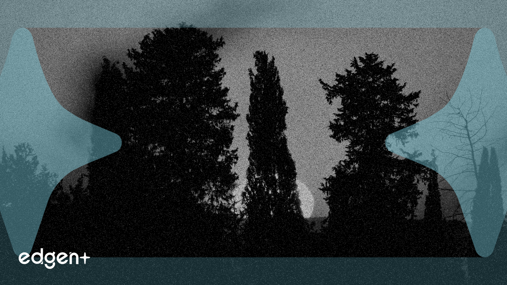 Las acciones de Xcel Energy caen un 4% mientras Texas demanda por daños de incendios forestales de 1.000 millones de dólares