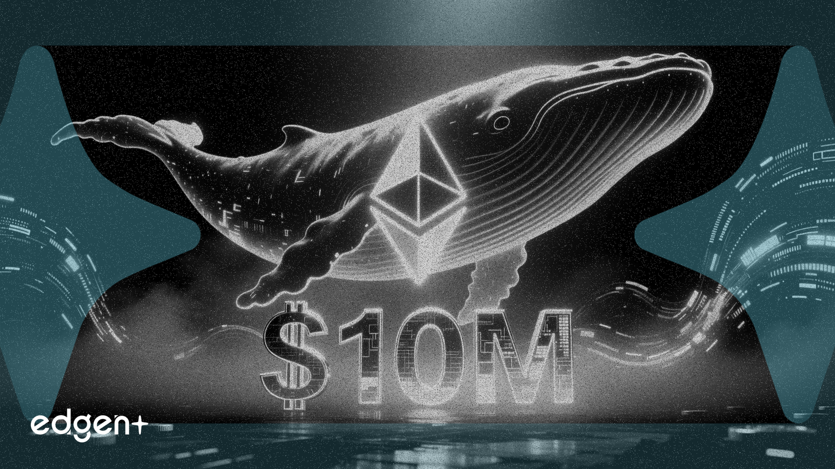 Whale Acquires 3,297 ETH For $10 Million
