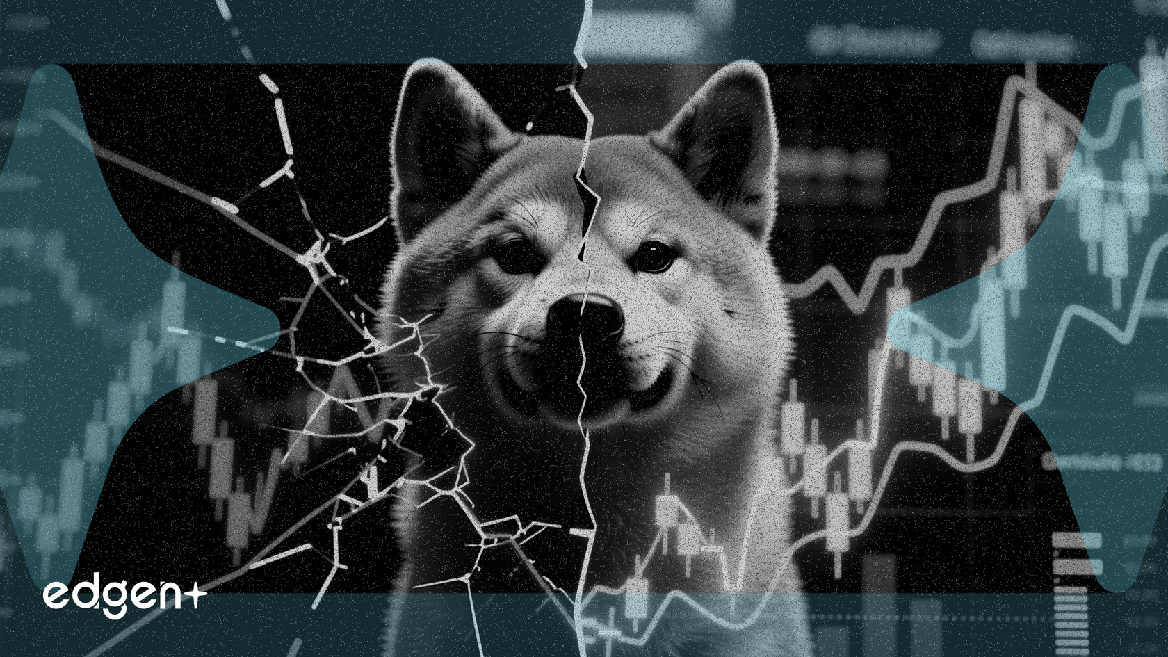 儘管價格疲軟，柴犬幣衍生品押注仍增長26%