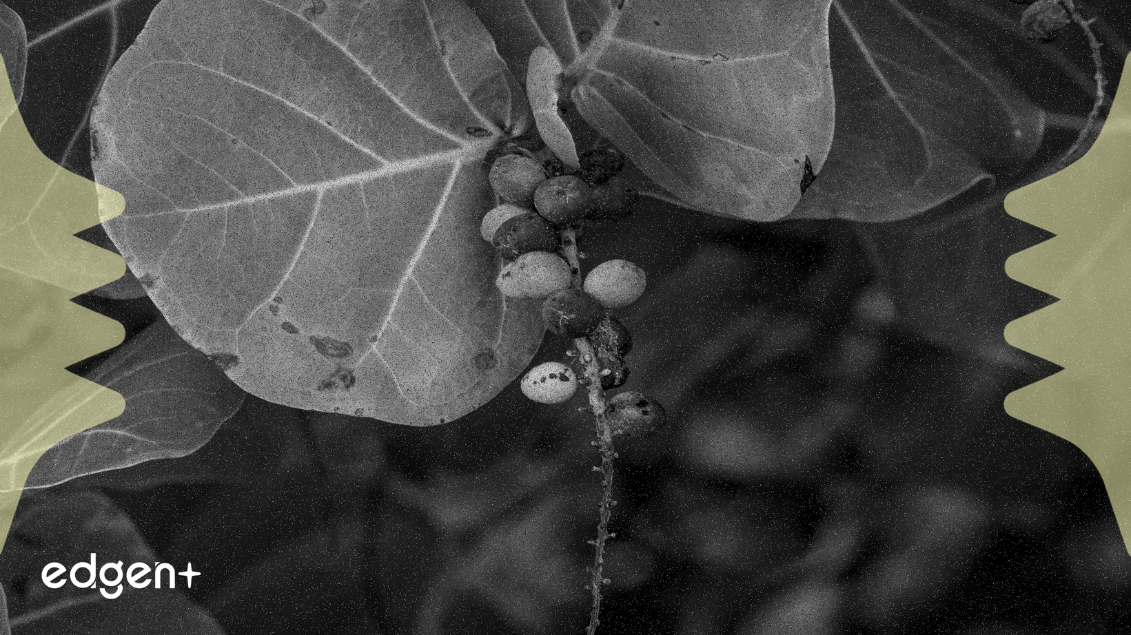 加密市場經歷板塊輪動，流動性轉向Layer-2、AI和InfoFi