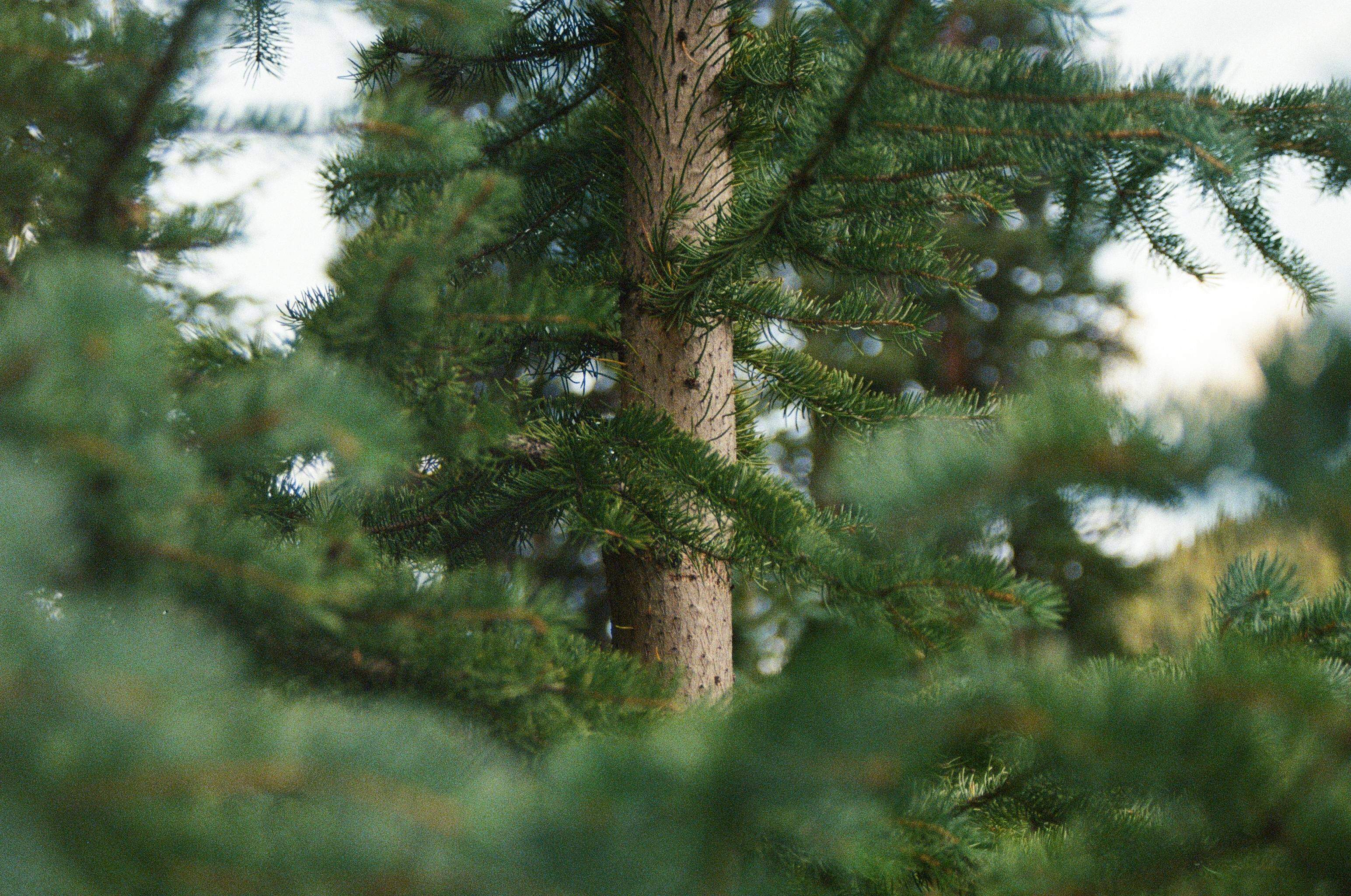 AllRock Bio asegura 50 millones de dólares en financiación Serie A para el desarrollo de fármacos contra la hipertensión pulmonar