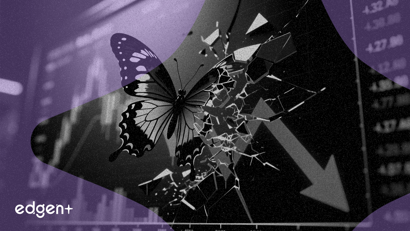 Cổ phiếu Flutter chững lại sau khi báo cáo thu nhập quý 4 không đạt kỳ vọng