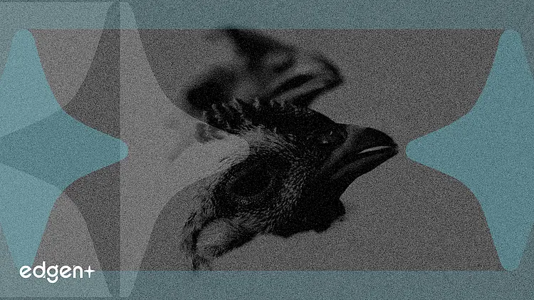 Las acciones de Pilgrim's Pride caen un 1,4% a pesar de superar las expectativas de ganancias e ingresos del tercer trimestre