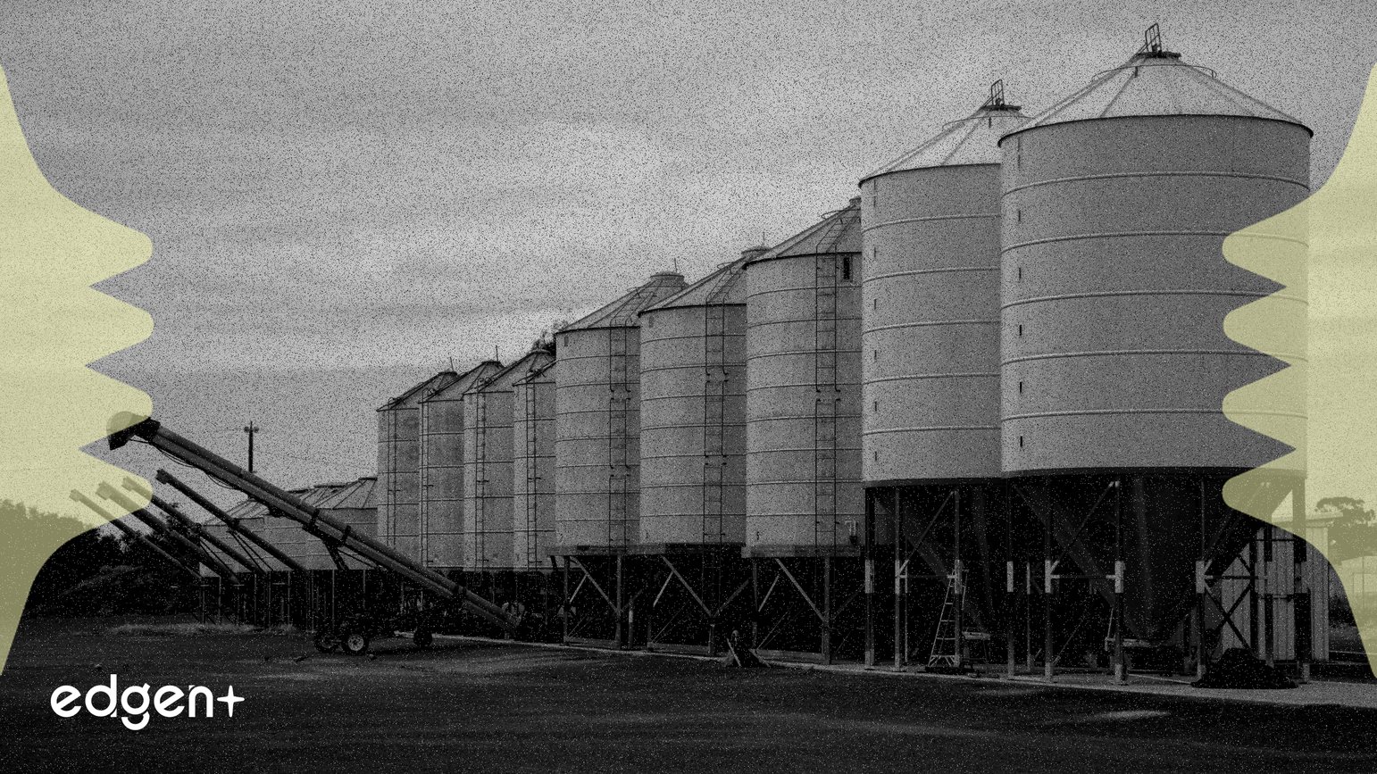 Le prix du Nillion ($NIL) chute de plus de 50 % en un mois, suite aux ventes post-airdrop et aux préoccupations de déblocage