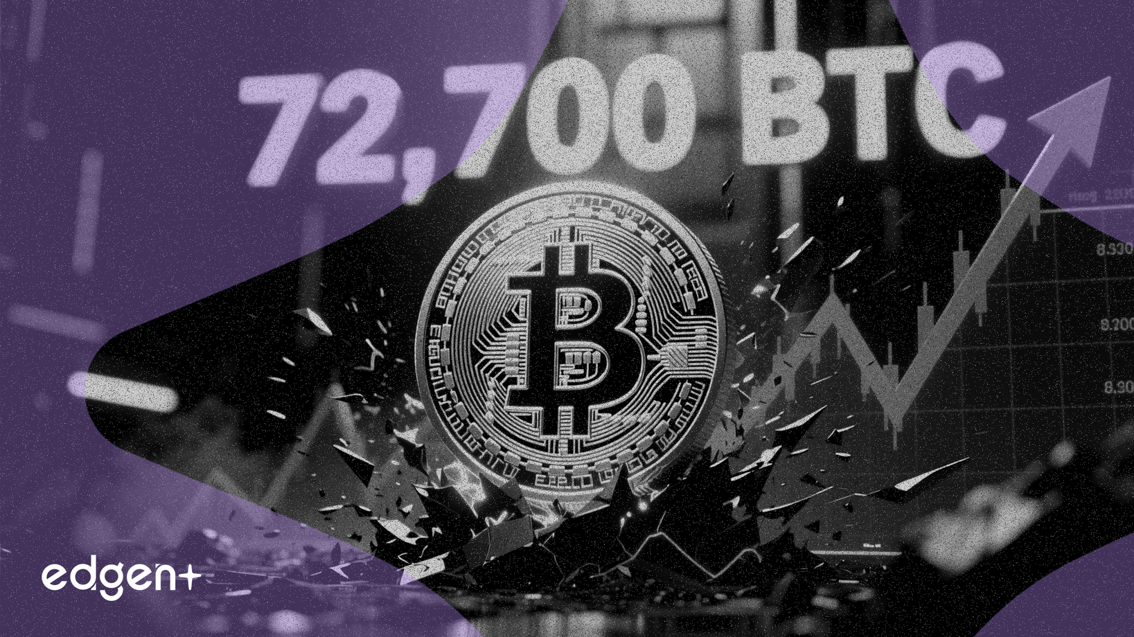 Los largos de Bitcoin en Bitfinex alcanzan un máximo de 72.700 BTC a pesar de la caída del precio