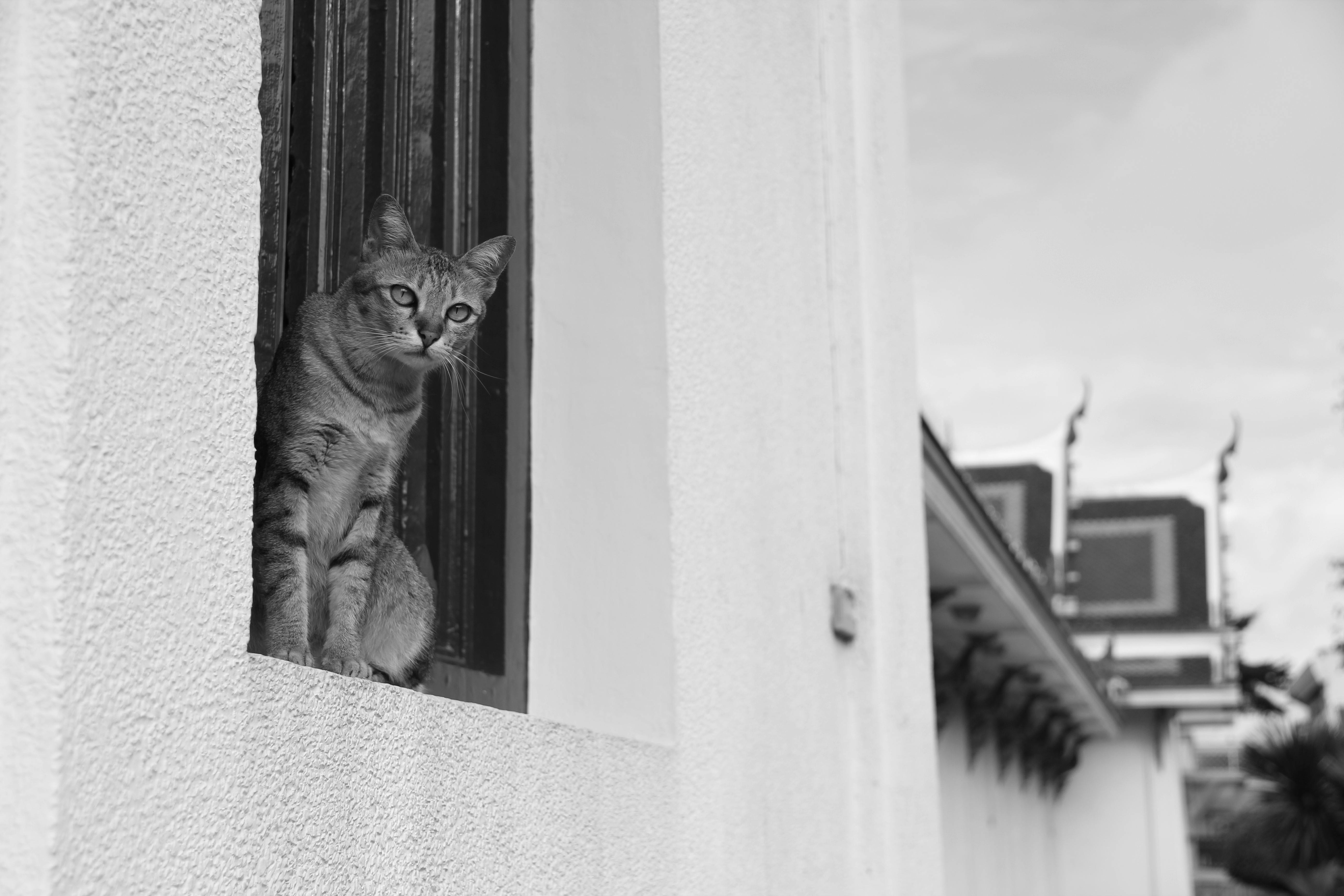 Bitcoin Integrates into Wall Street Amid Regulatory Shifts, Signaling On-Chain Bull Run