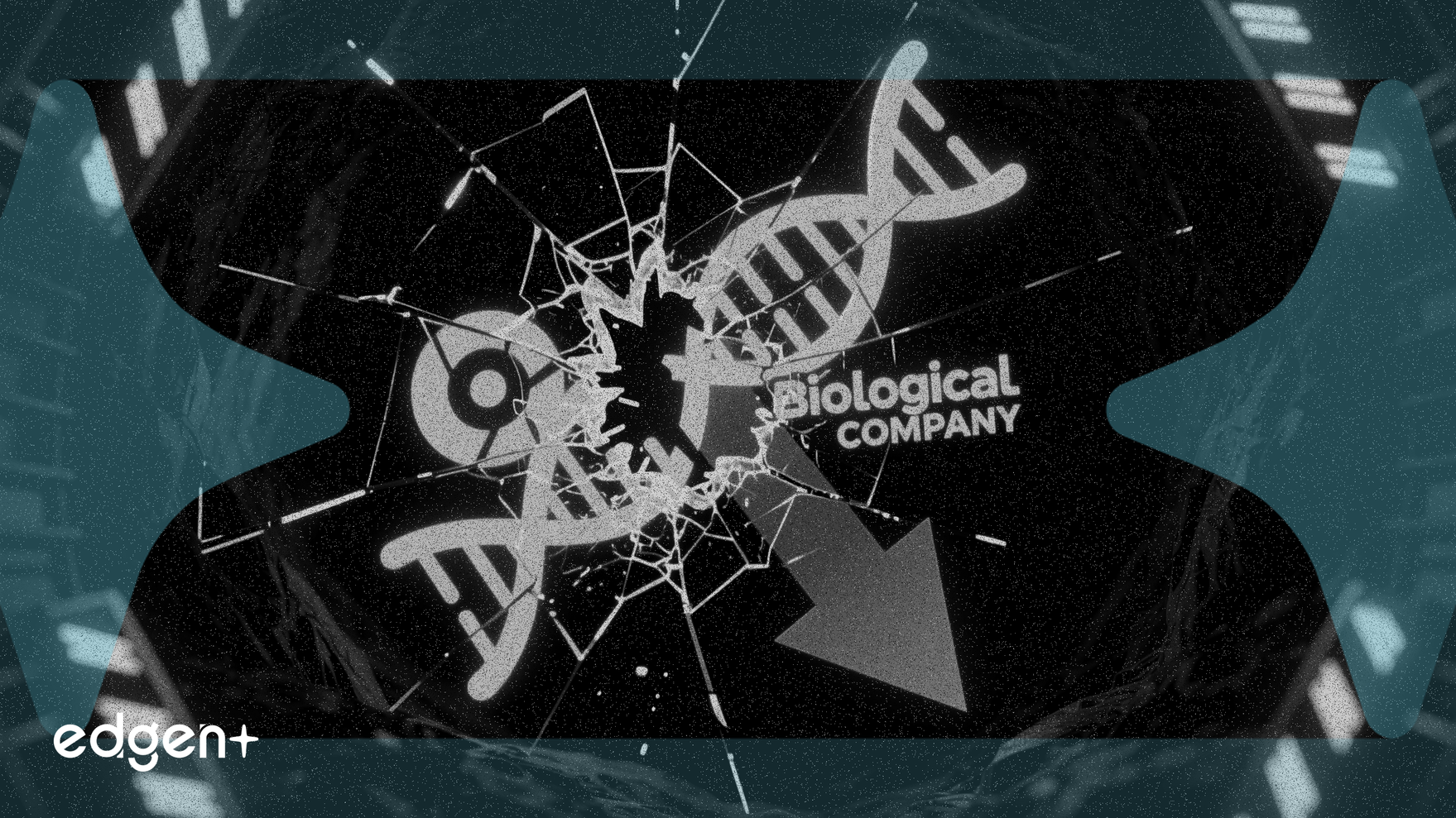 Hebang Bio se desploma un 5% por advertencia de deterioro de activos