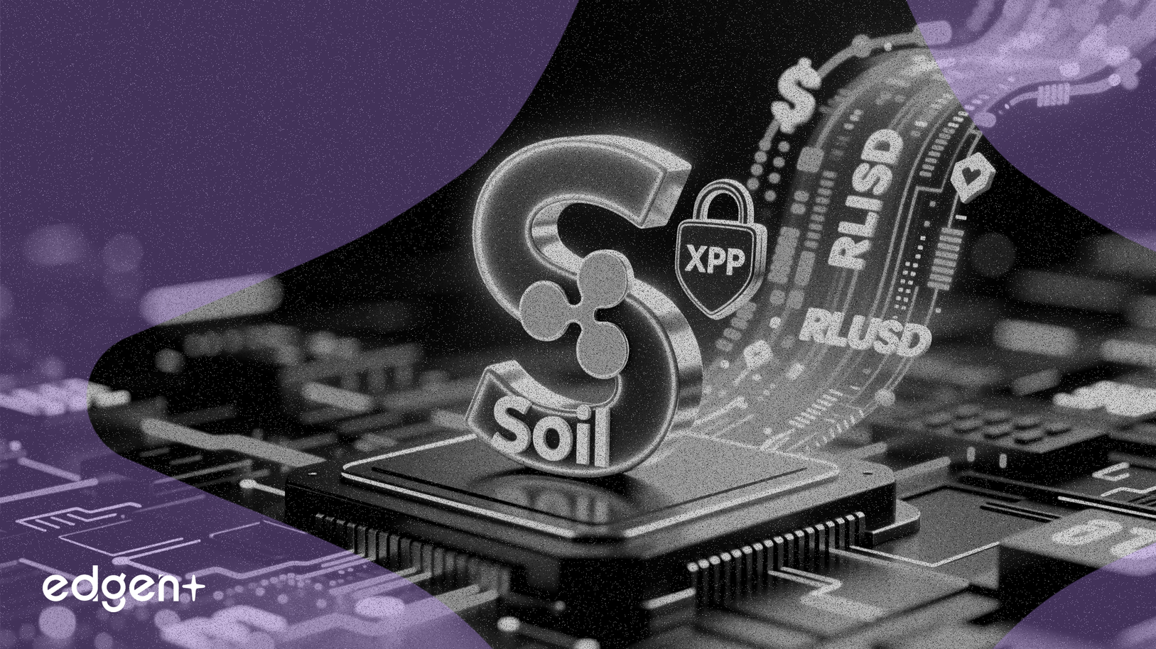 Soil 在 XRP Ledger 上为 Ripple 的 RLUSD 推出收益协议