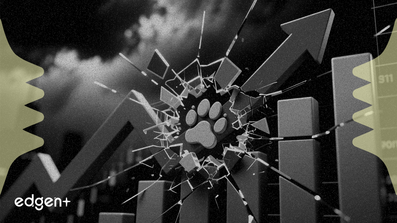 Las acciones de Chewy caen un 72% a pesar de lograr la rentabilidad