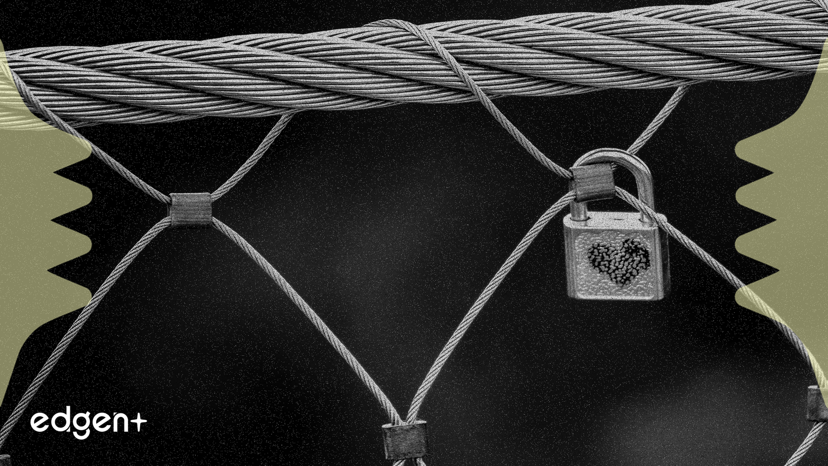 Sui 網路總鎖定價值突破26億美元,創歷史新高