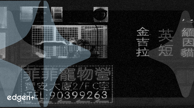 XPeng Stock Slides Amid Profitability Concerns