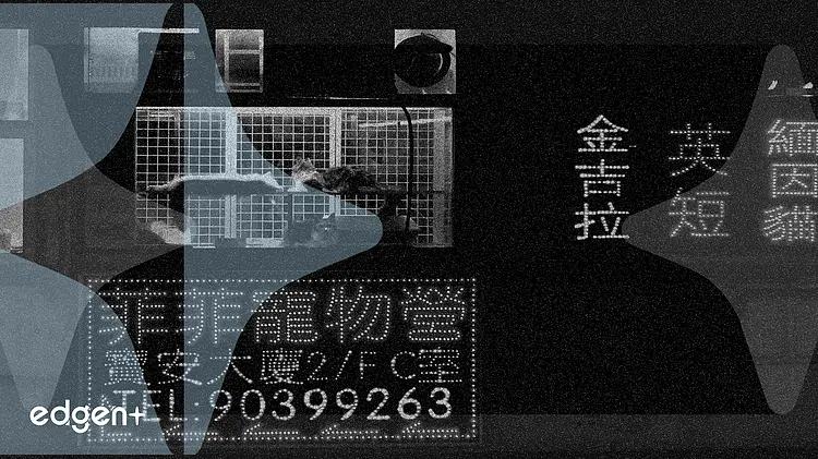 XPeng Stock Slides Amid Profitability Concerns