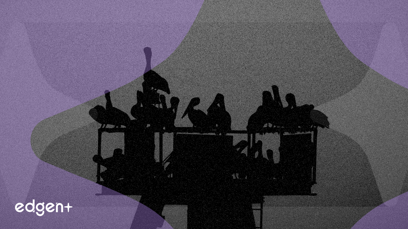 PermRock Royalty Trust Tuyên bố phân phối tiền mặt hàng tháng 0,028839 USD mỗi đơn vị