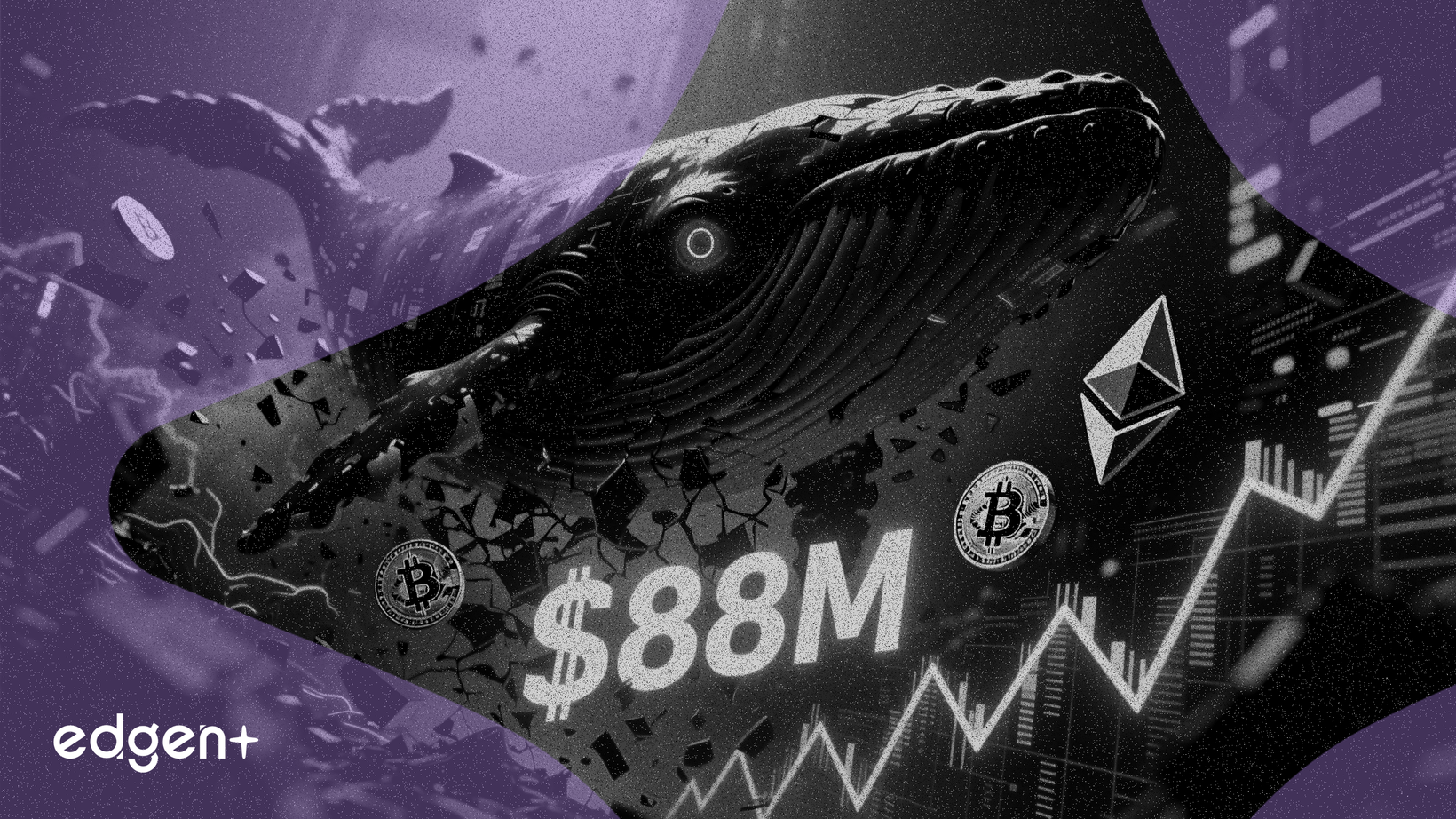 Cá Voi “Tiền Thông Minh” Đặt Cược 88 Triệu USD Chống Lại Bitcoin và Ethereum