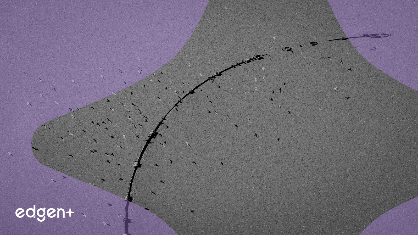 지정학적 긴장이 미국 주도의 희토류 공급망 독립 추진을 촉발