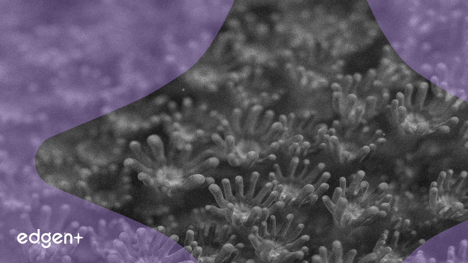 İyileşen Finansal Görünüm ve Değerleme Tartışmaları Arasında Twist Bioscience Hisseleri Yükseliyor