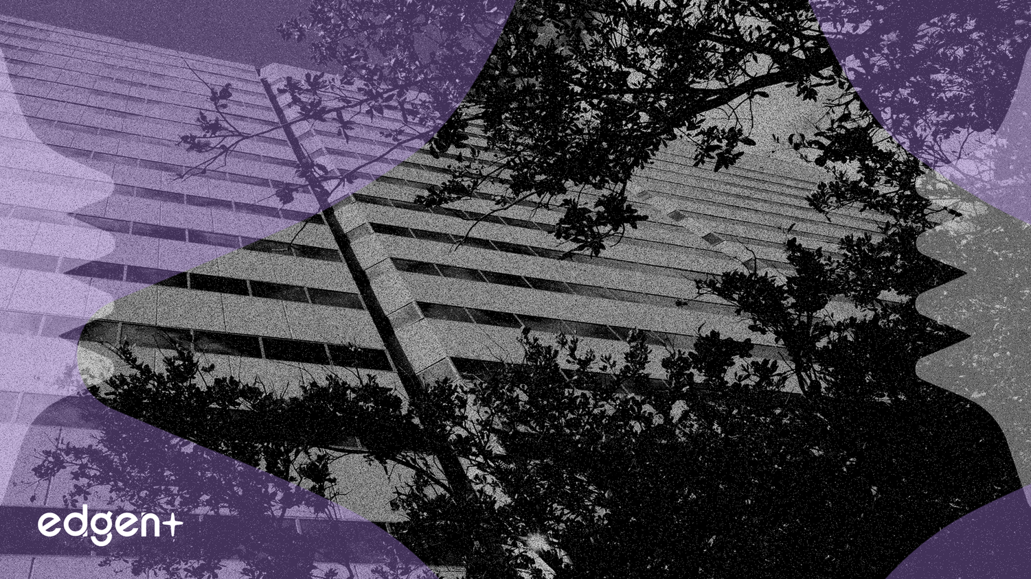 Zoetis Borrows $1.75B as Stock Declines 25% YTD