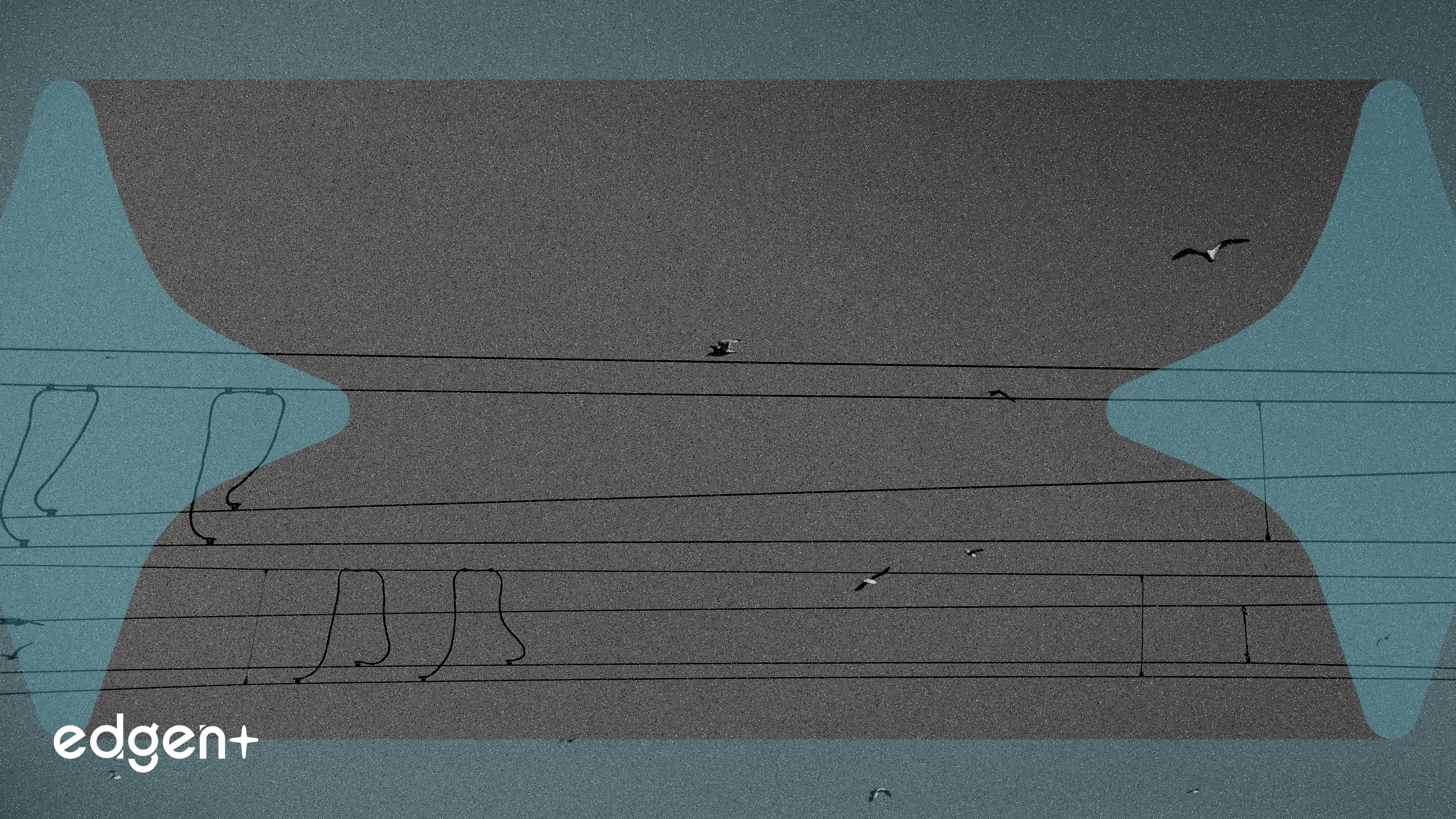 Công nghệ Ciena được chọn cho dự án cáp ngầm TAM-1 của Trans Americas Fiber System