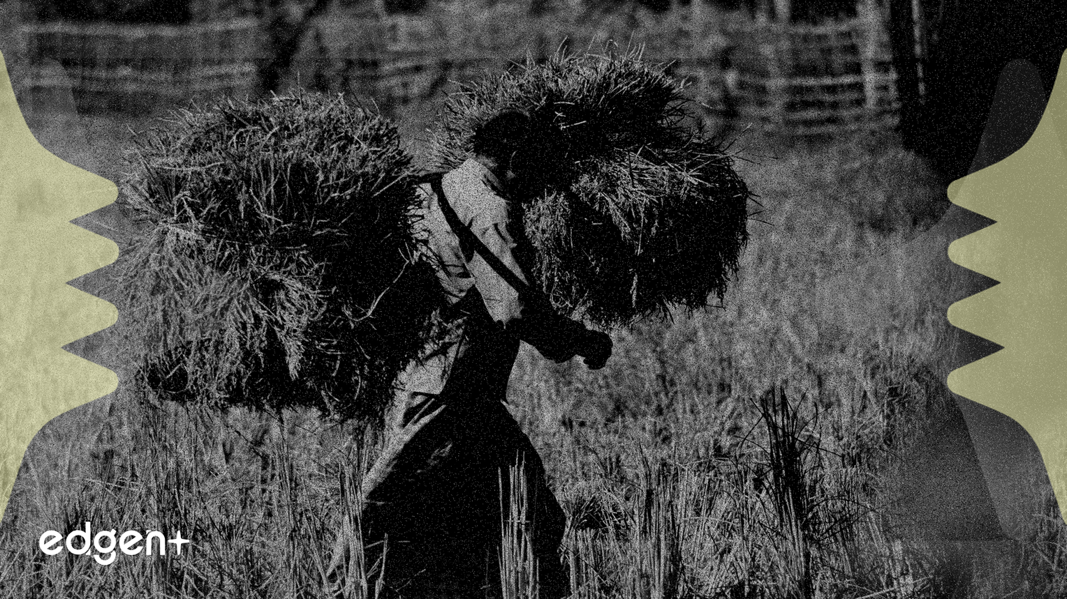 US Deploys $12 Billion To Stabilize Farm Sector