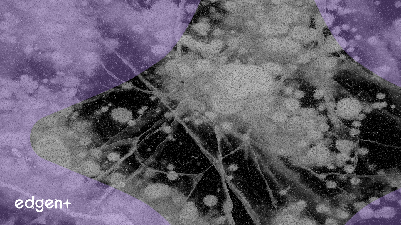 Norveçli Yetkililer, Nobel Barış Ödülü Sızıntısına Bağlı Polymarket Bahis Anomalilerini İnceliyor