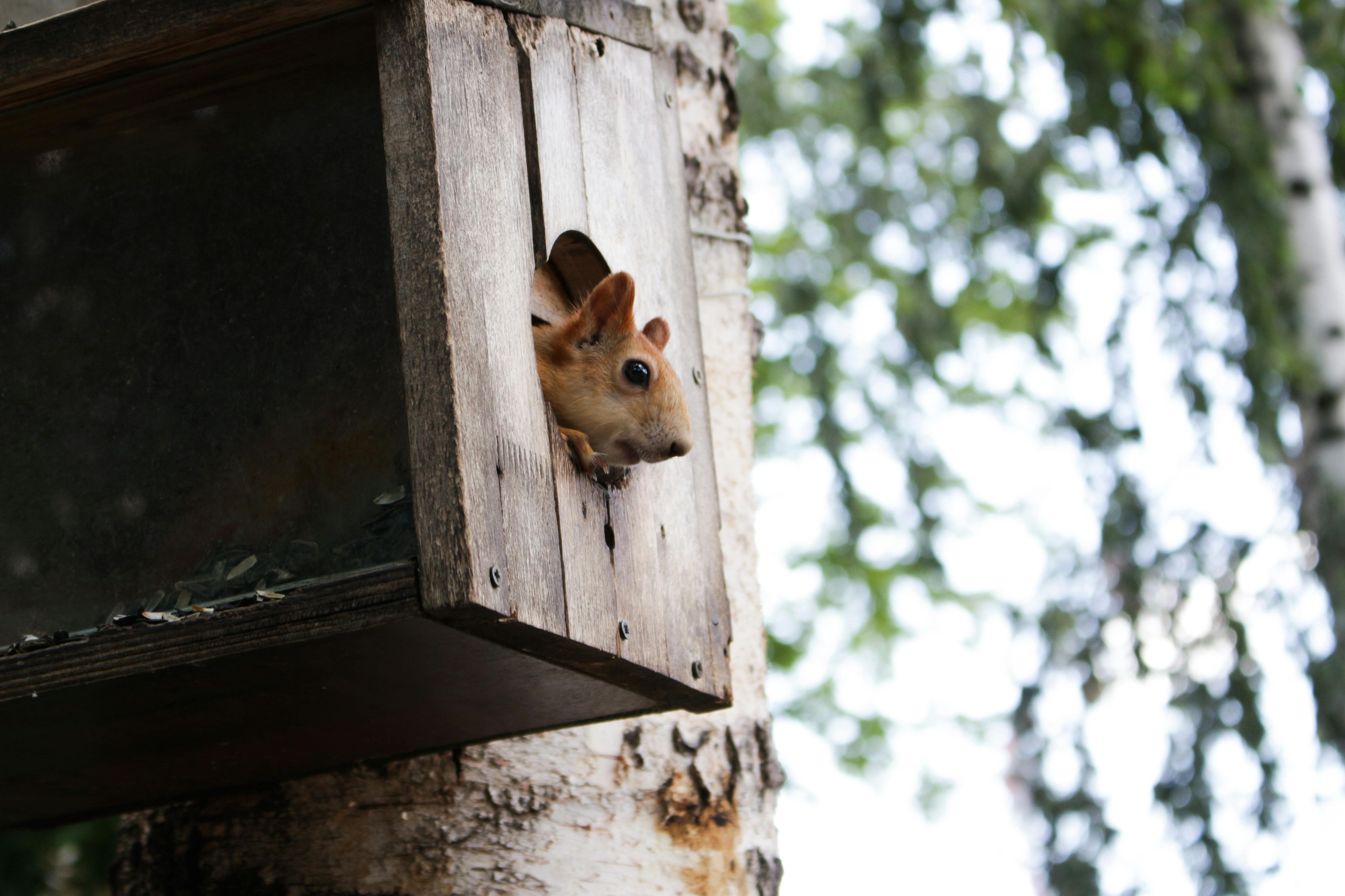 UPS va mettre en œuvre des surcharges de haute saison sur les expéditions internationales et intérieures