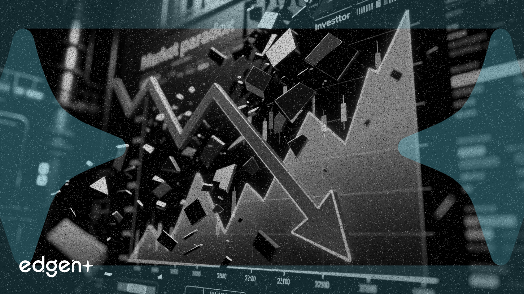 尽管季度业绩创纪录，Samsara 股价仍下跌