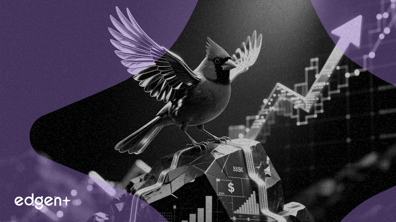 Cardinal Health signale sa croissance avec un faible taux de distribution de dividendes de 11%