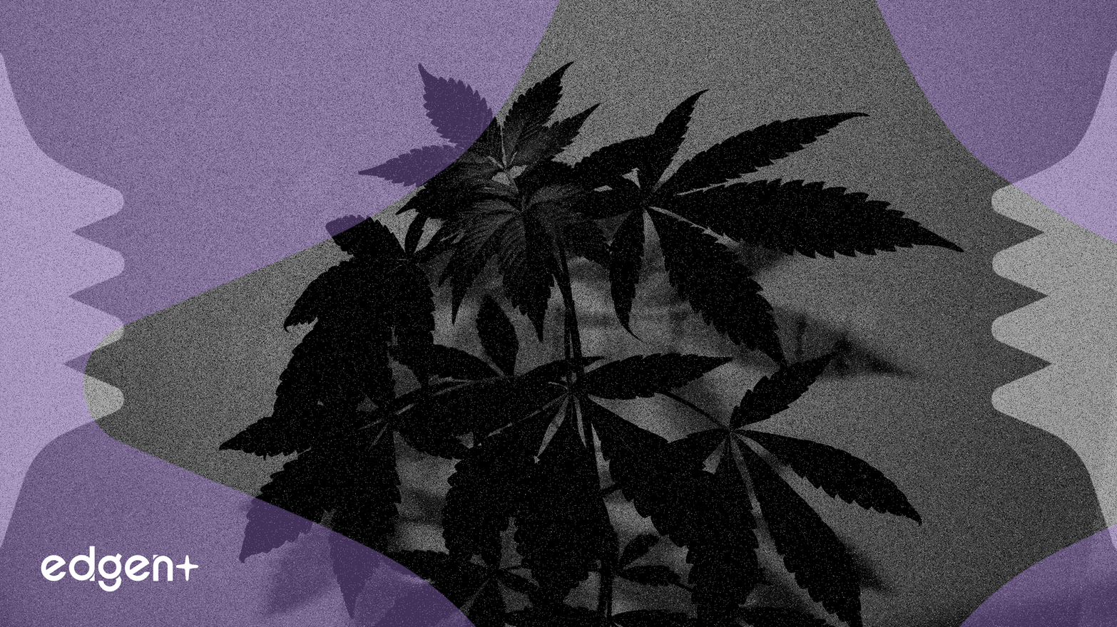 Canopy Growth Jumps 21% on Trump Marijuana Reclassification News