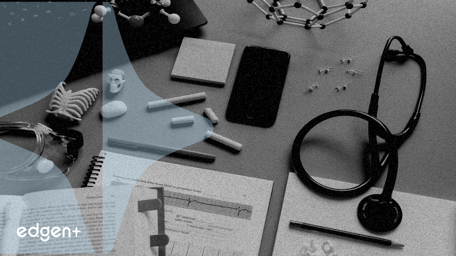 Le rallye spéculatif voit les meme coins PENGU et ZORA bondir ; PYTHIA, liée à l'IA, dépasse les 100 millions de dollars de valorisation