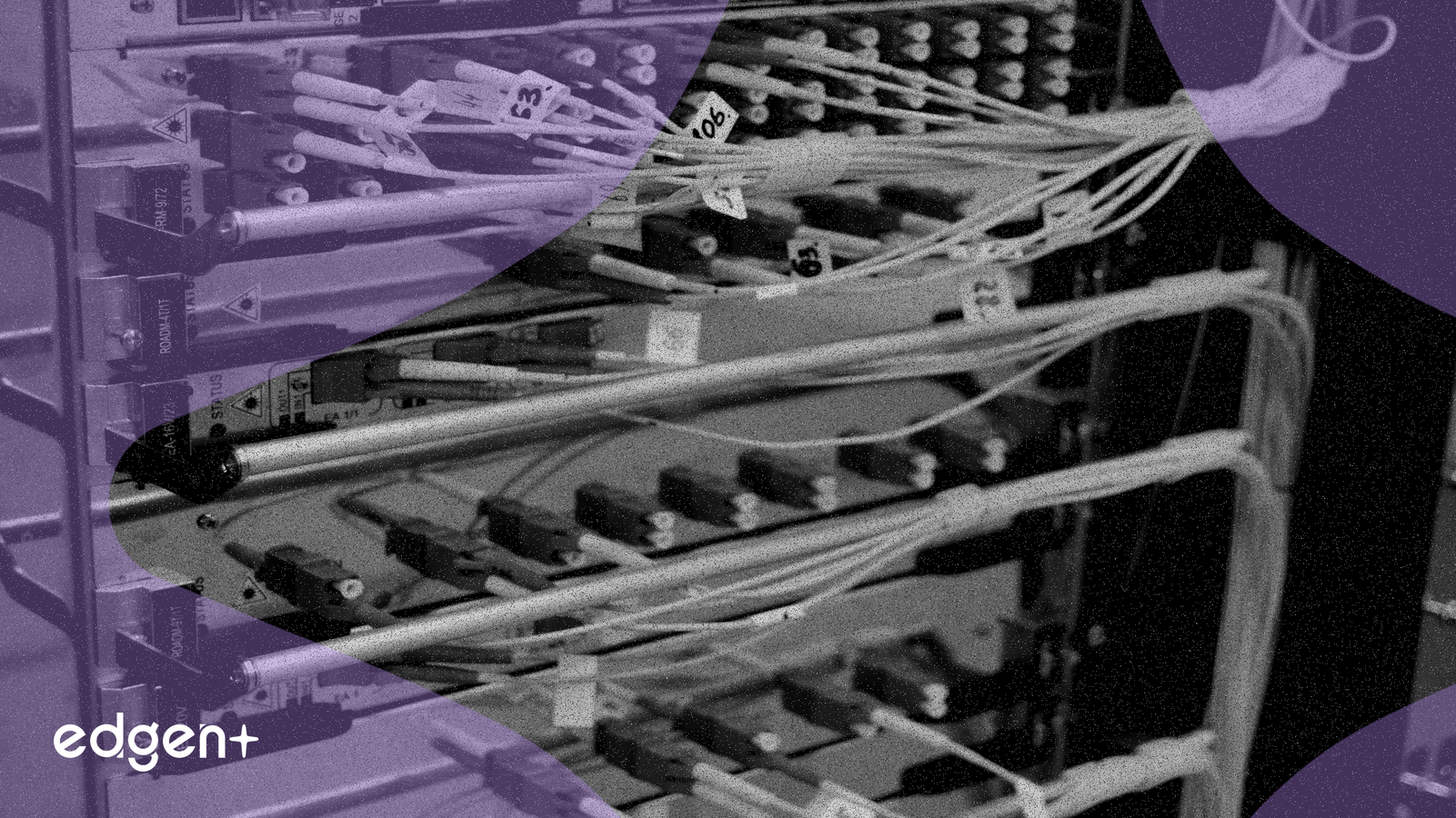 Goldman Sachs Raises Zhongji Innolight Target by 62% on AI-Driven Optical Module Demand