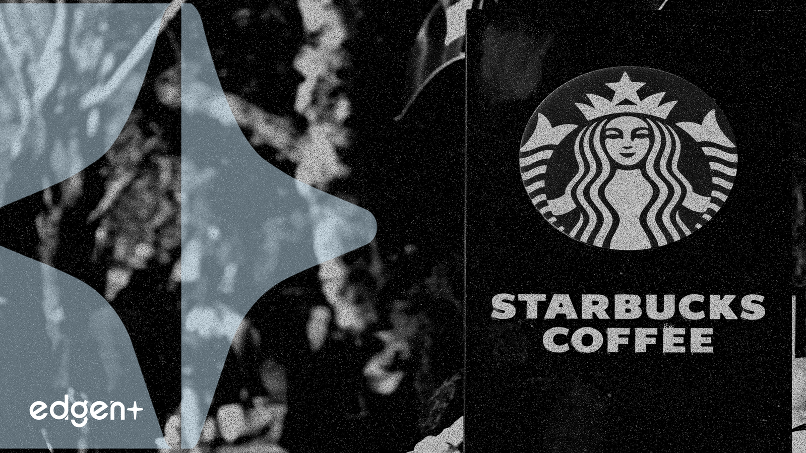 Starbucks Overhaul Fails to Revive Sales, Stock