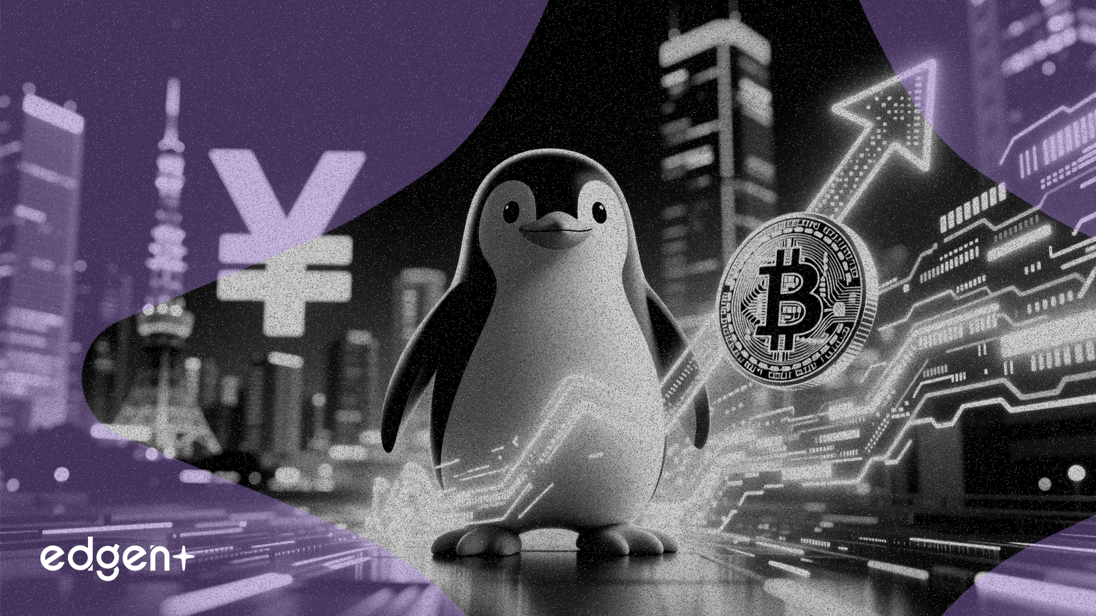 ペンギン証券、日本での暗号資産事業拡大のため28億円を調達