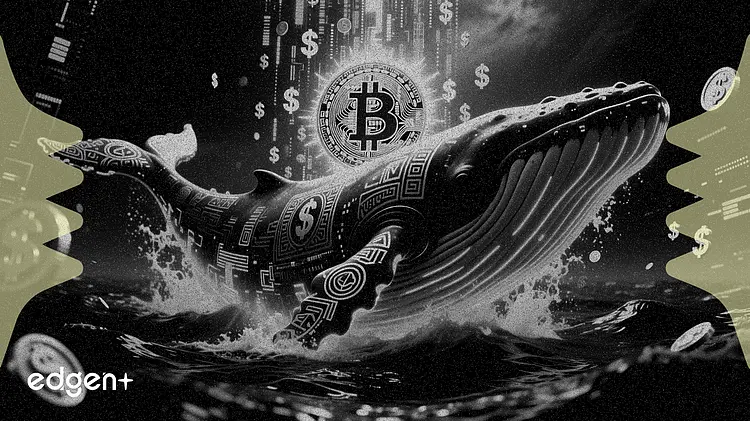 1억 7,900만 달러 규모의 고대 비트코인 고래 등장