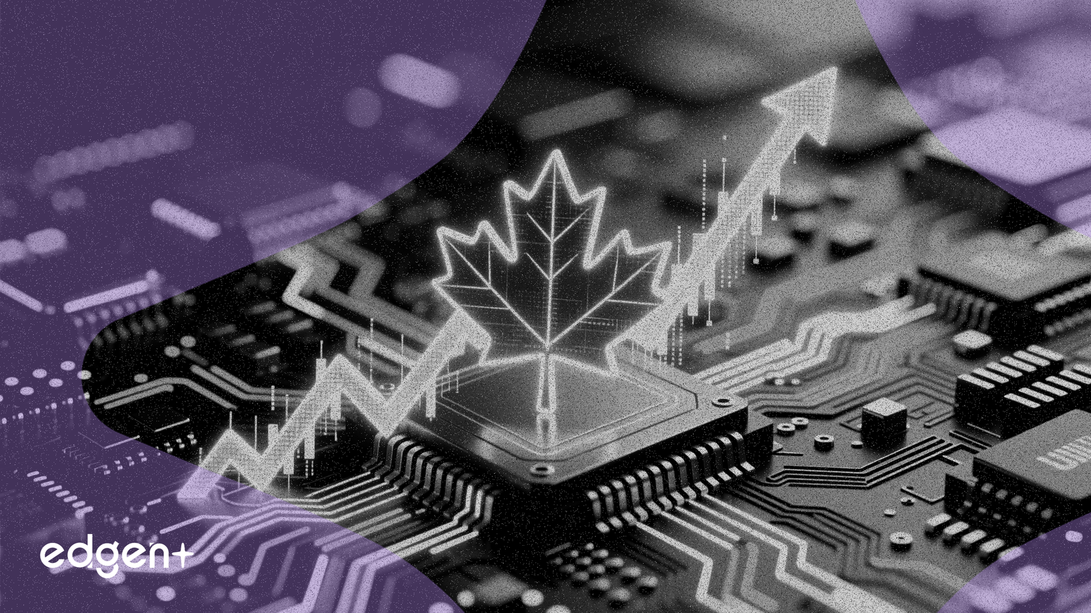 RBC pronostica un repunte para las acciones de software canadienses en 2026