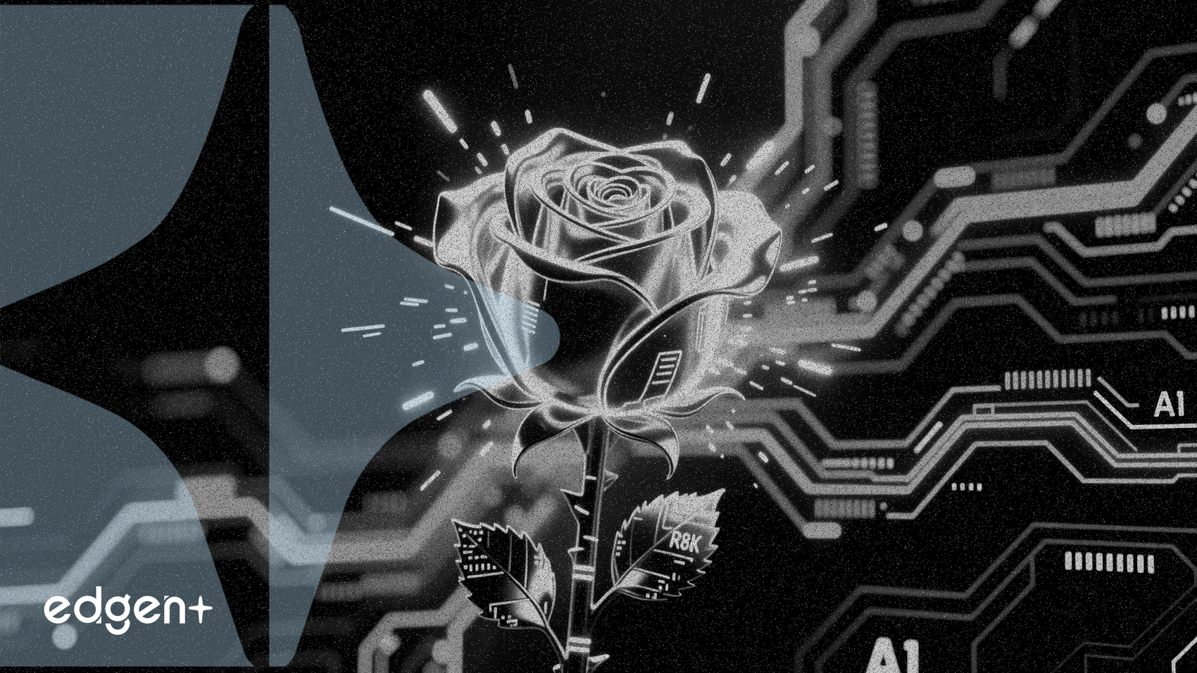 ROSE 토큰, 프라이버시 AI 내러티브 부상에 105% 급등