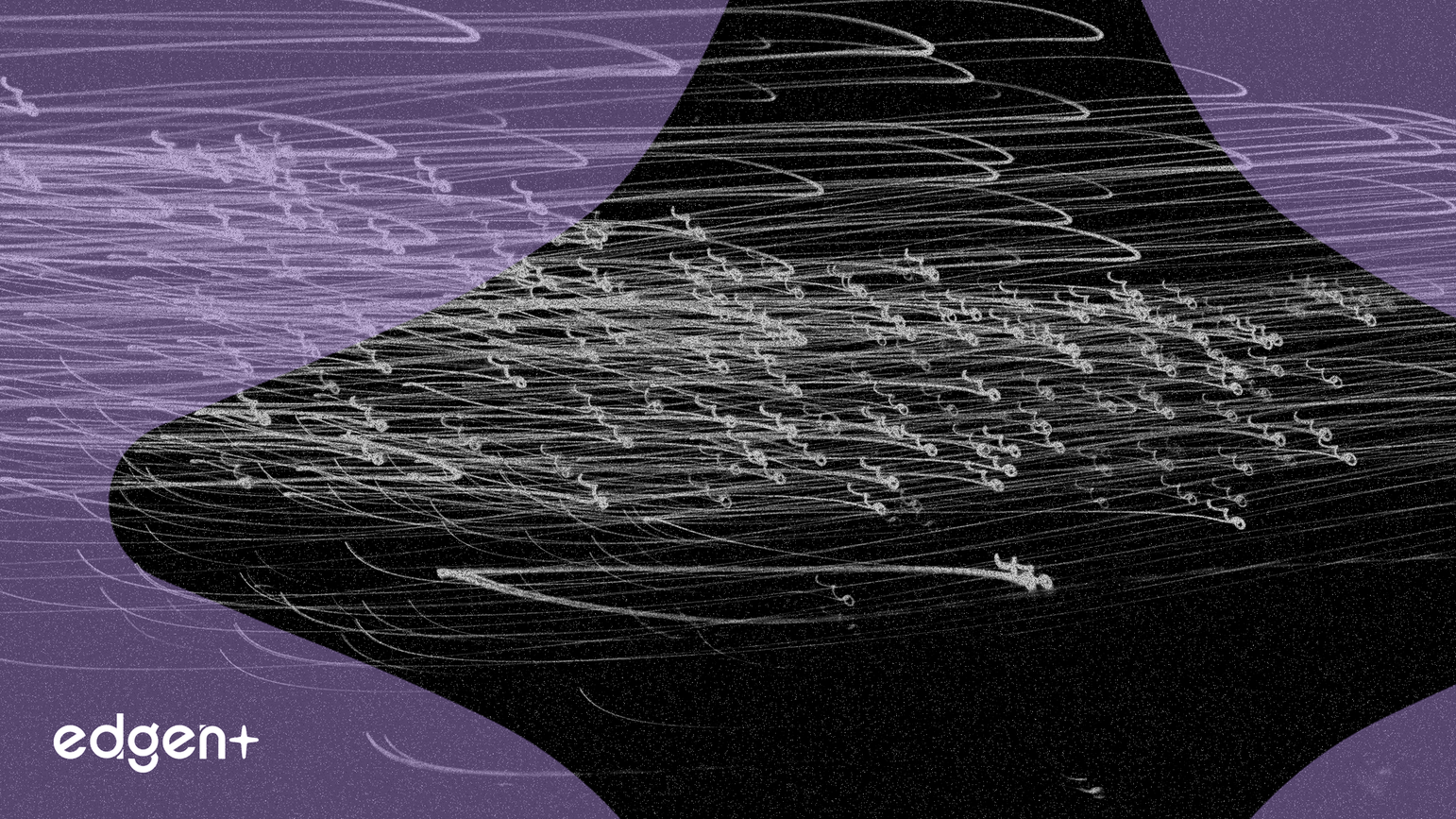 L'action Amphenol grimpe de 96,4%, portée par une frénésie d'acquisitions