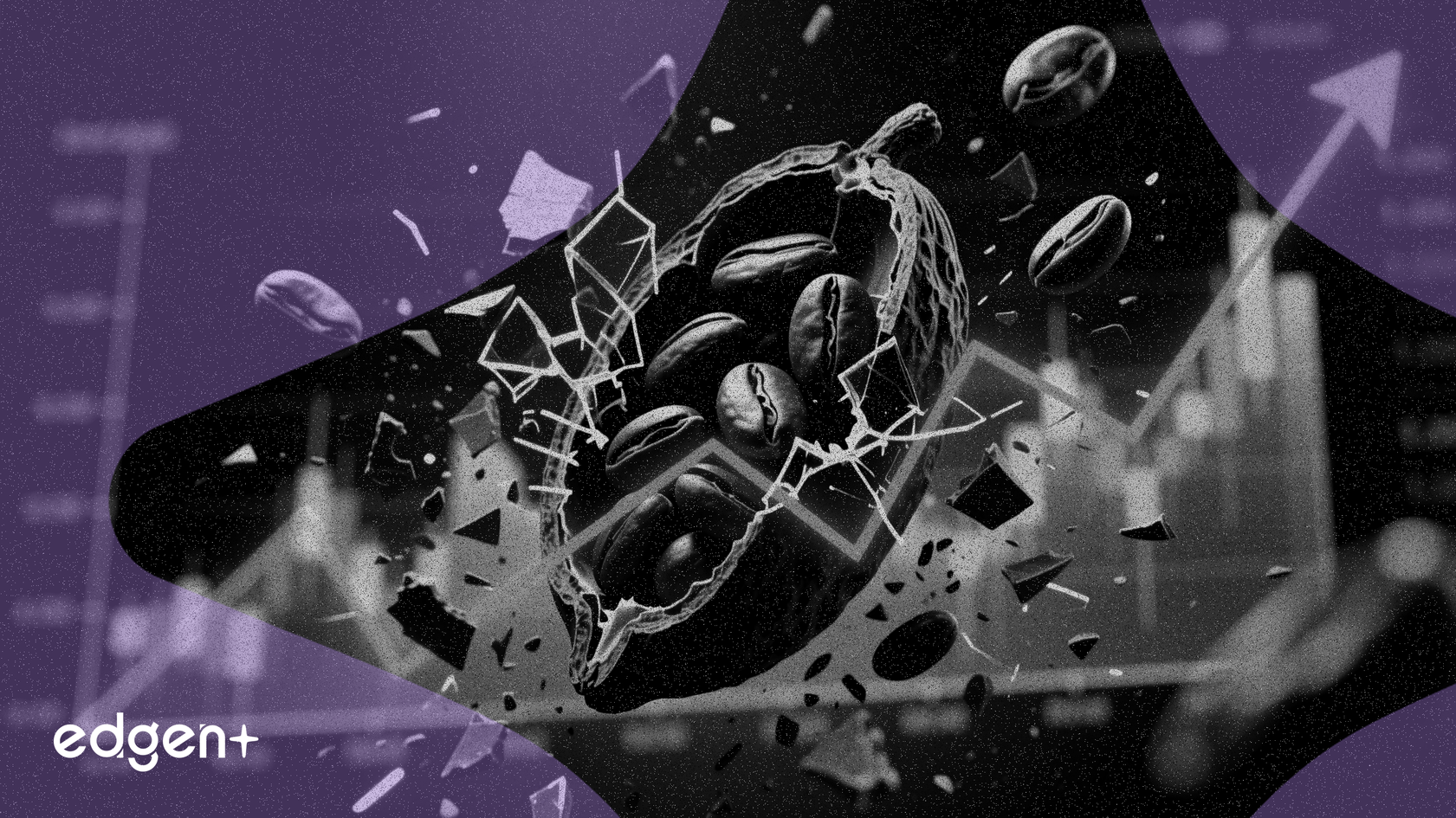 Les prix du cacao chutent de 12% alors que le rééquilibrage des indices s'estompe