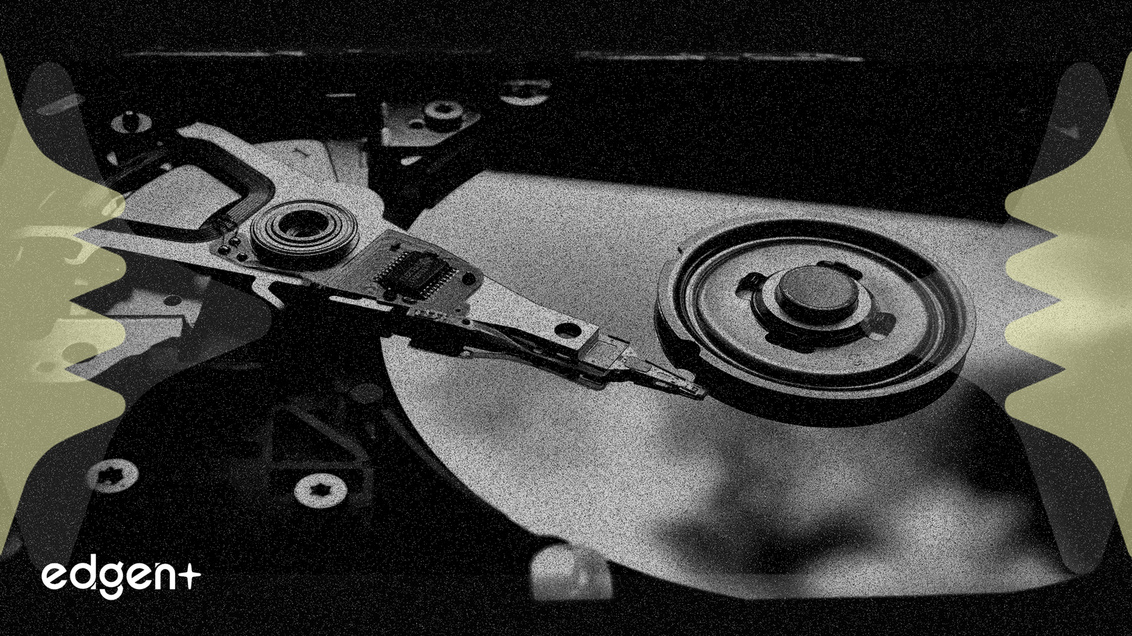 對沖基金透過人工智慧數據儲存股票獲得60%收益