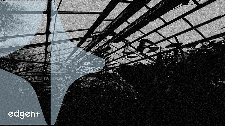 Sensi Brands 收购 Maricann,以欧盟GMP认证设施瞄准全球扩张