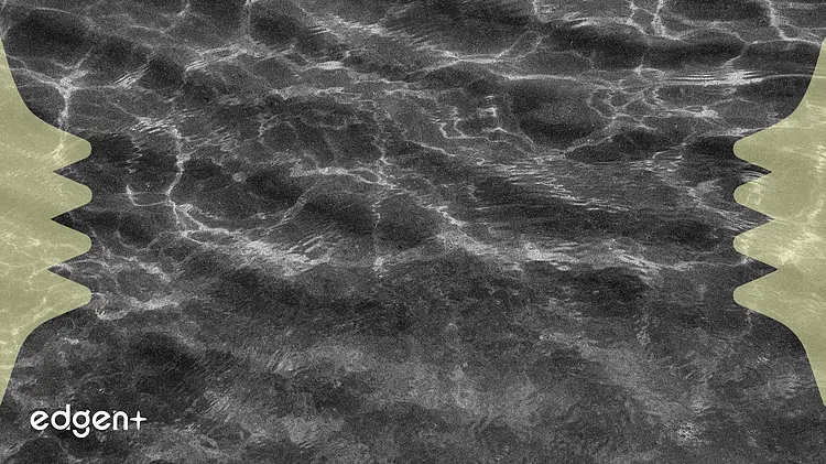 Ripple CEO'su Garlinghouse, Düzenleyici Değişiklikler Ortasında ABD Kripto Varlığının Süreceğini Öngörüyor